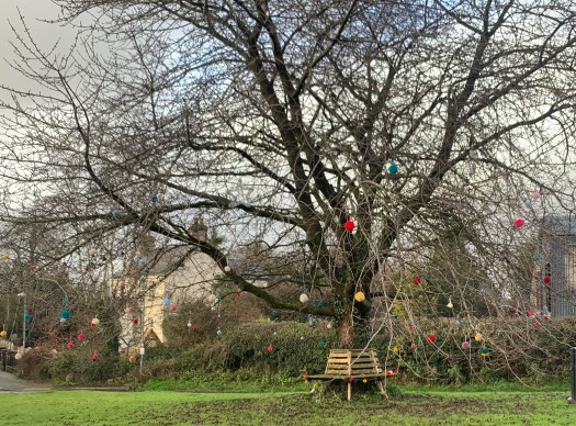 Pictures of Christmas Trees